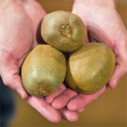 P. Allen Smith Edibles Collection - Kiwis